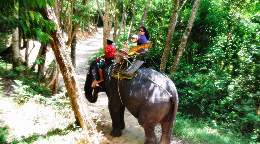 Phuket Elephant Trekking